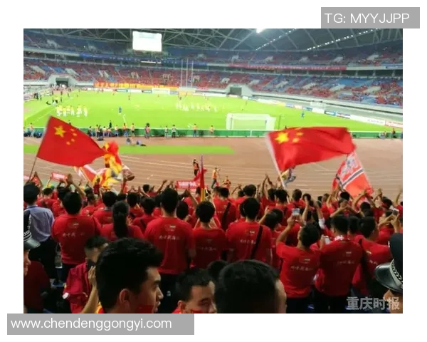 重庆排球队比赛经验引发热议球迷观点各异引发争论